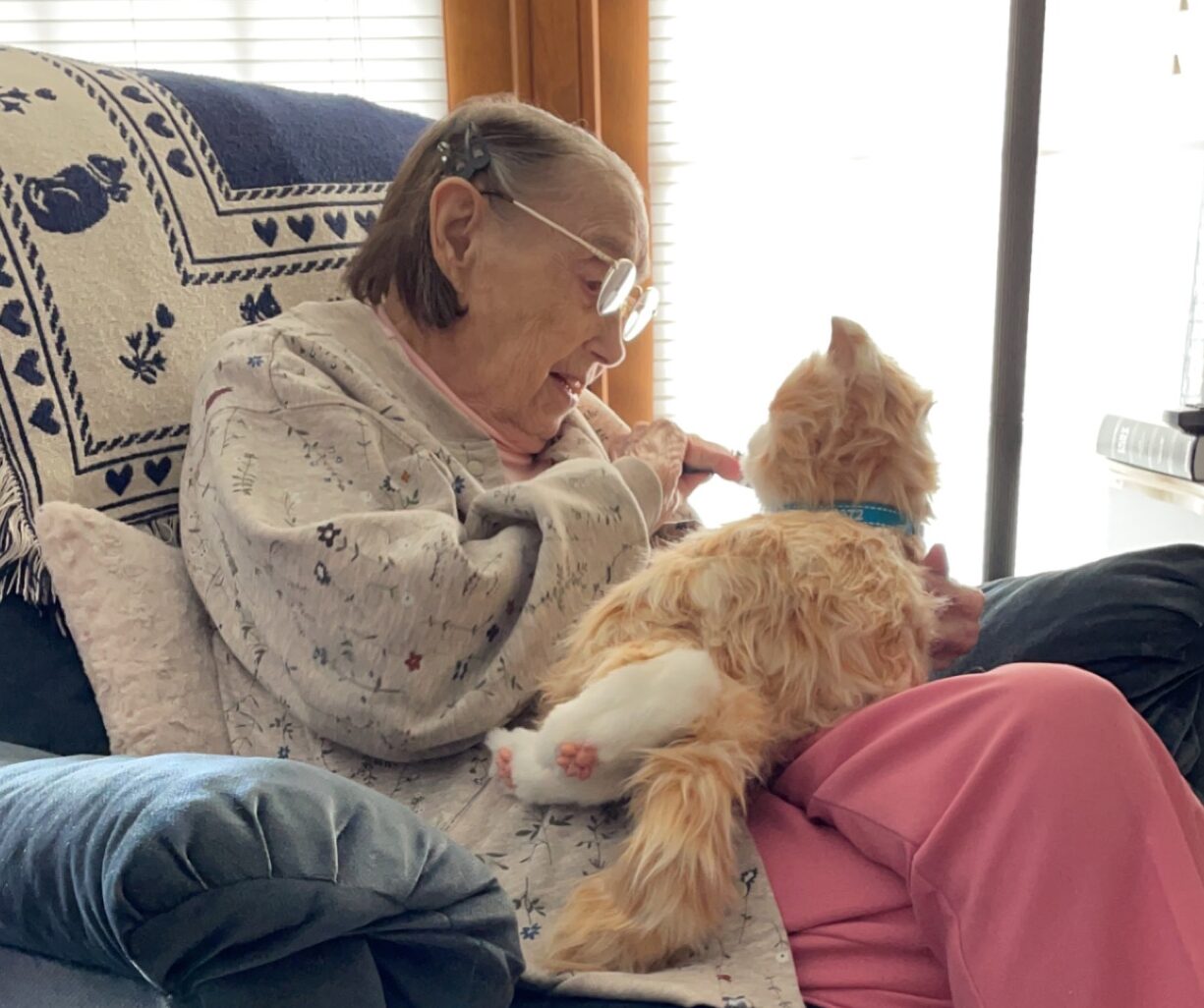 Hospice patient finds comfort in AI therapy cat