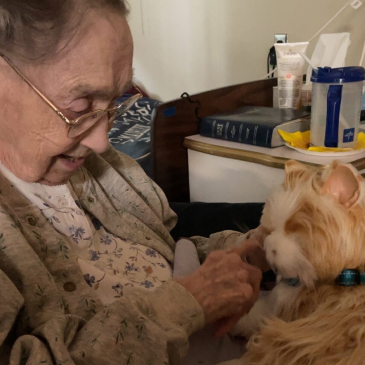 Hospice patient Martha pets her AI therapy cat. The cat is tan and white with a blue collar.